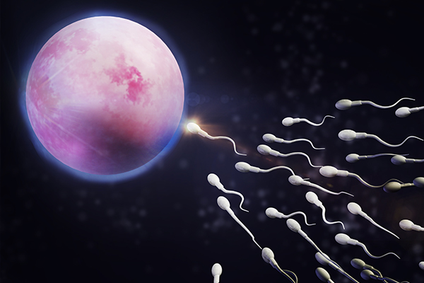 test-fertilidad