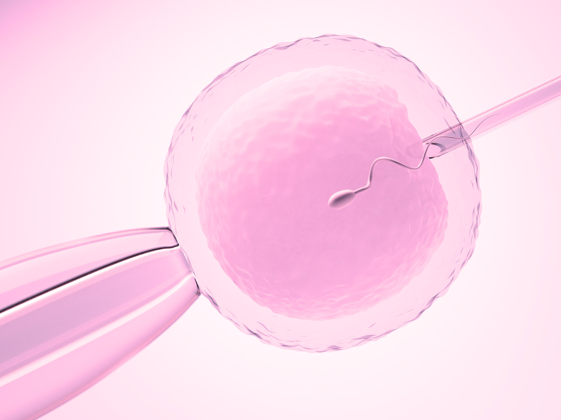 tratamiento-de-inseminacion-artificial-vida
