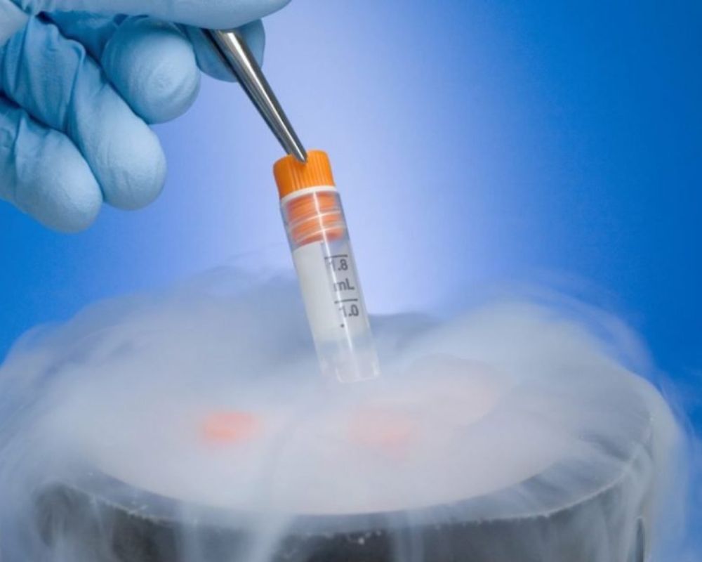 inseminacion artificial
