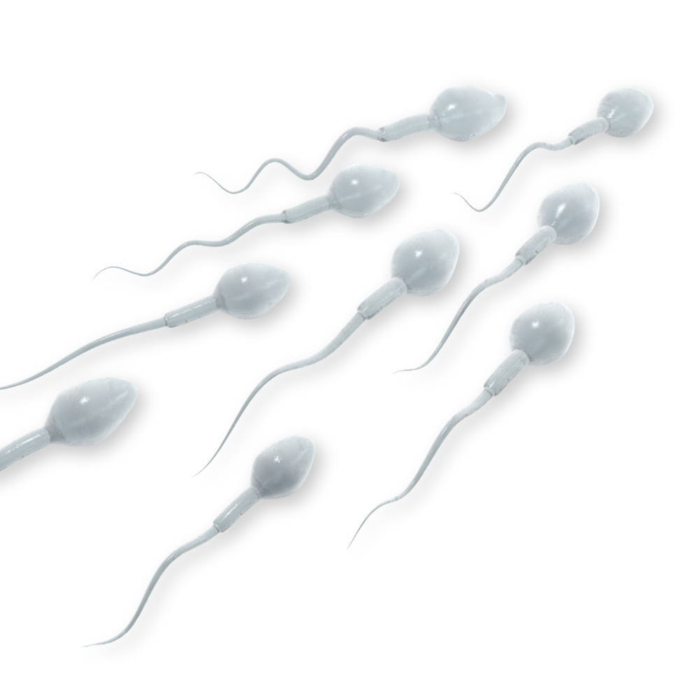 inseminacion artificial