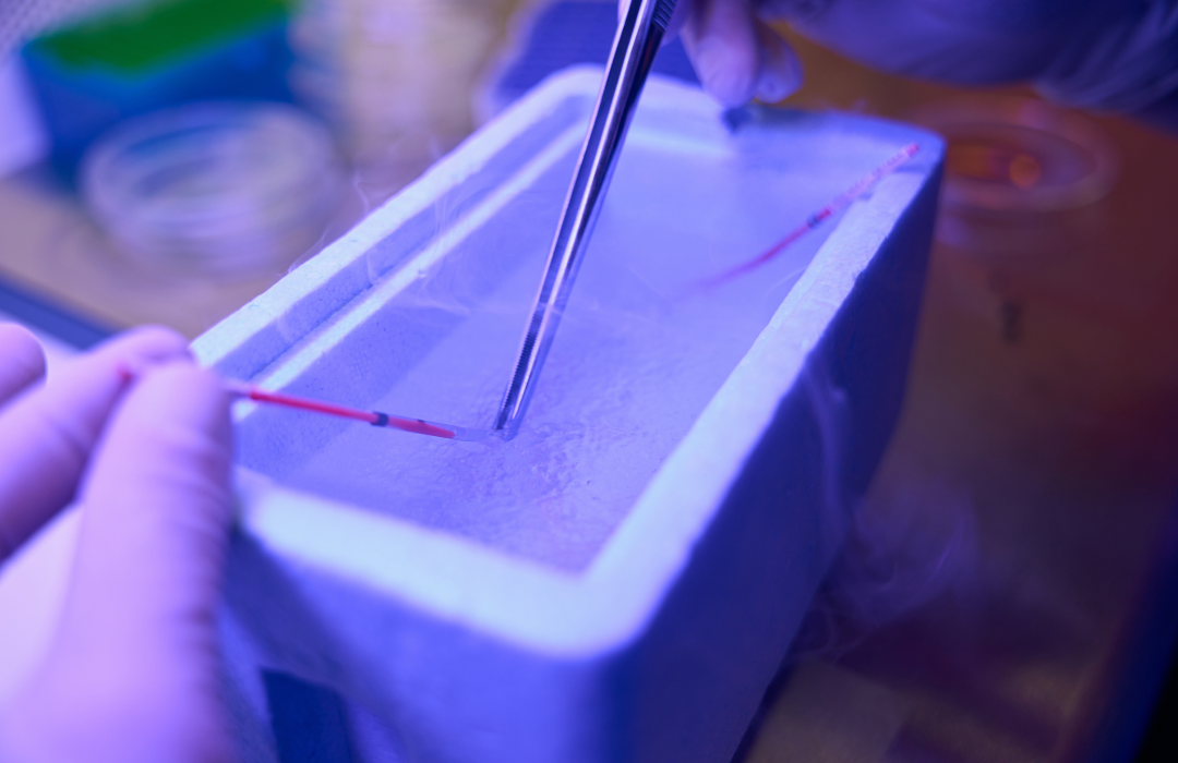 tratamiento-de-inseminacion-artificial-vida