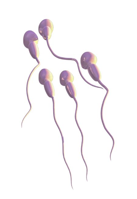inseminacion artificial