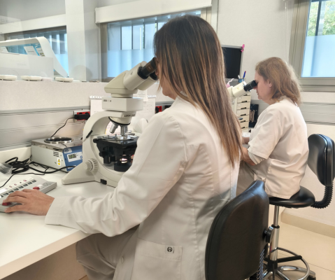 Abstinencia sexual y calidad del semen: cuántos días son recomendables para la fertilidad